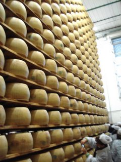 Parmigiano aging rack.JPG